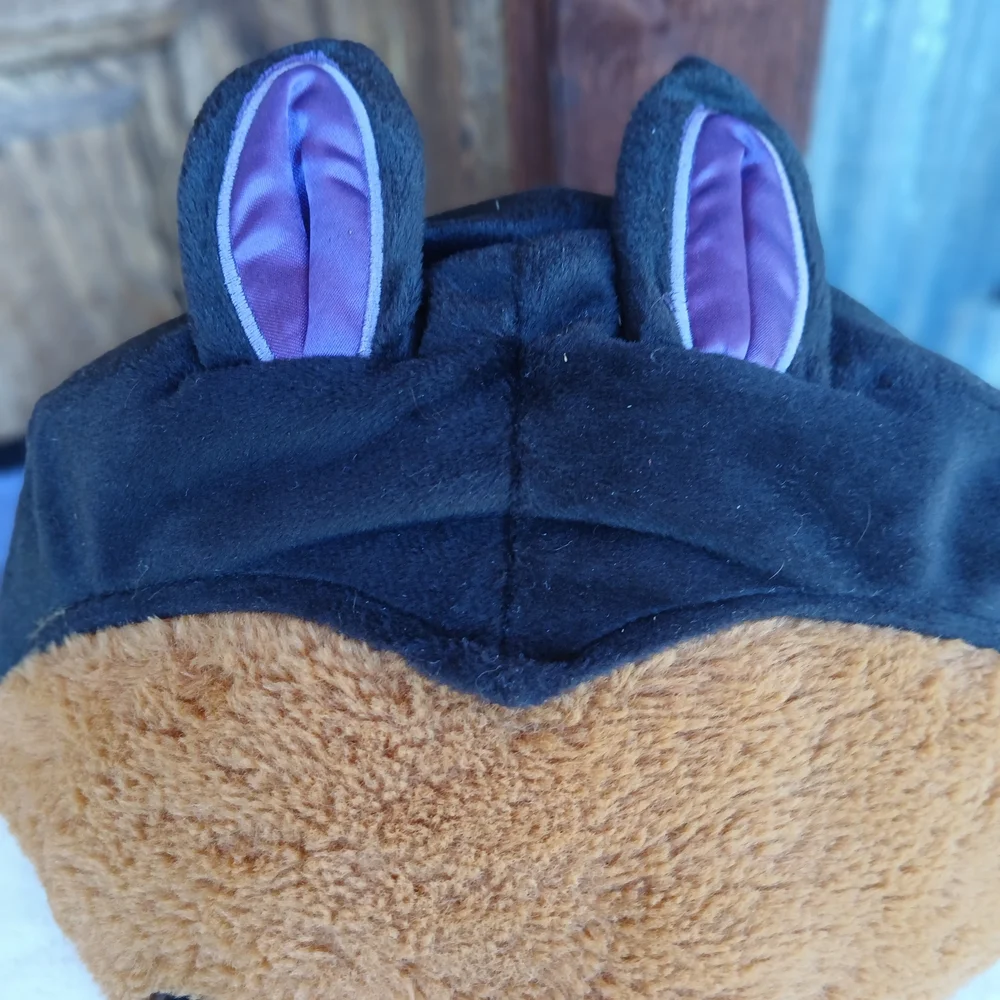 Pet costume adorable bat